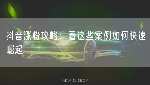 抖音涨粉攻略:看这些案例如何快速崛起